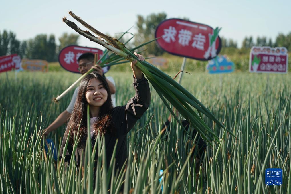 优游设计